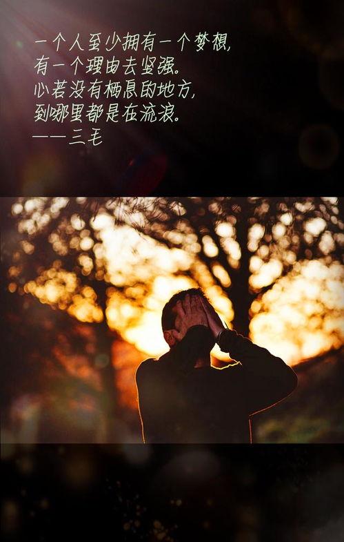 你流浪的心,探寻自由与灵魂的归宿